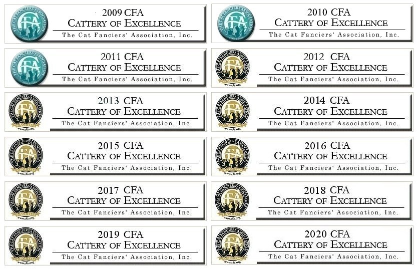 CFA Cattery of Excellence
