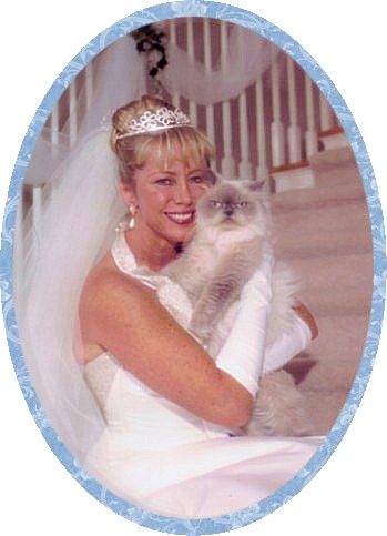 Joan Donahue - New Jersey Himalayan Cat Breeder